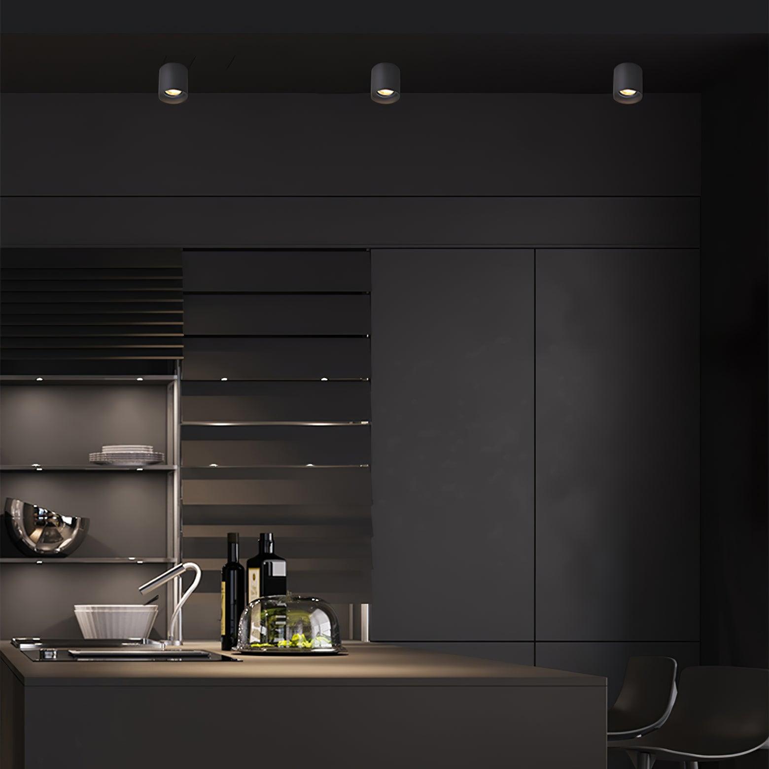 Ceiling Light | Cylinder Surface Fixture