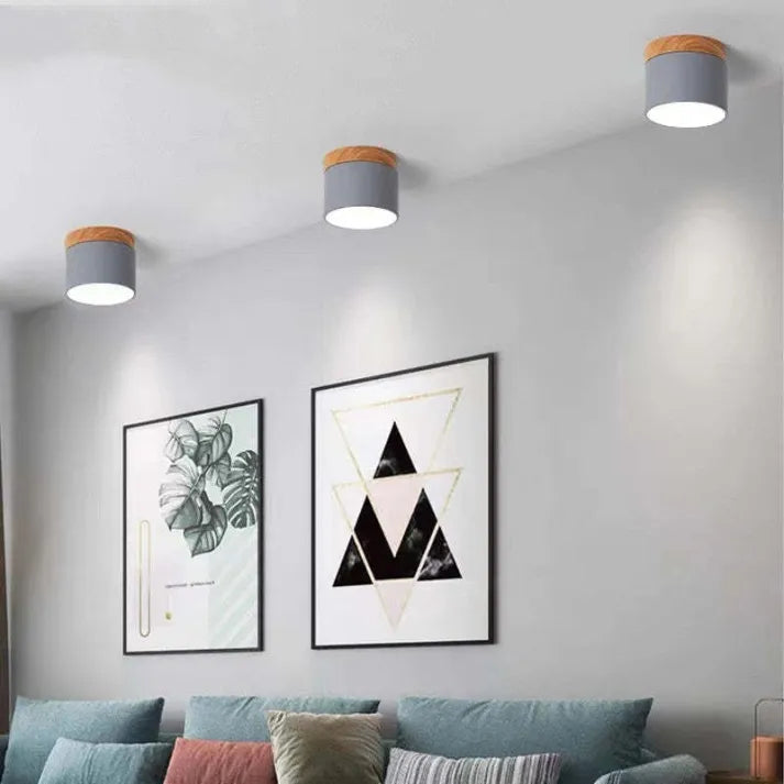 Hallway LED Ceiling Lights | Flush Mount Cylindrical Fixture