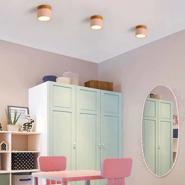 Hallway LED Ceiling Lights | Flush Mount Cylindrical Fixture