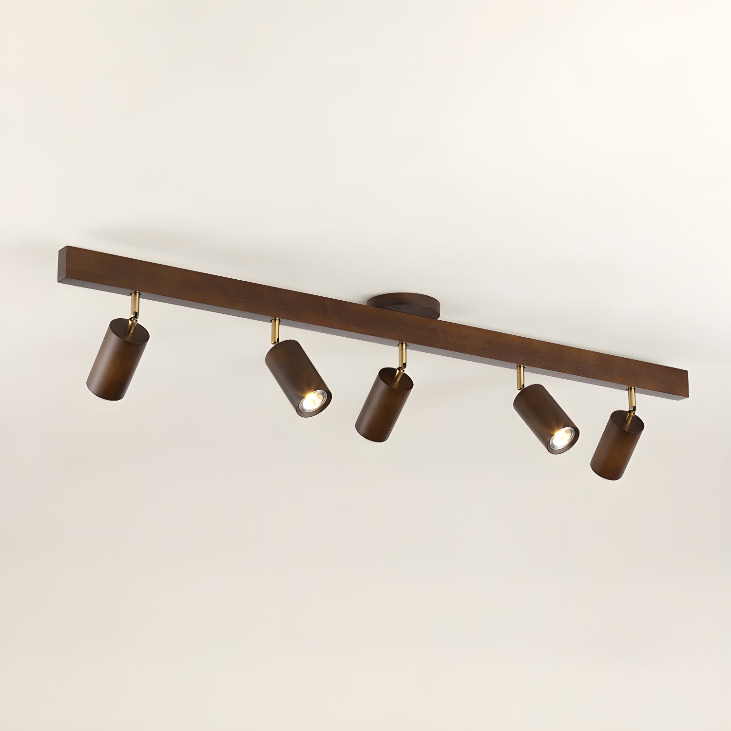 Ceiling Light | Adjustable Multi-Spot Lamp