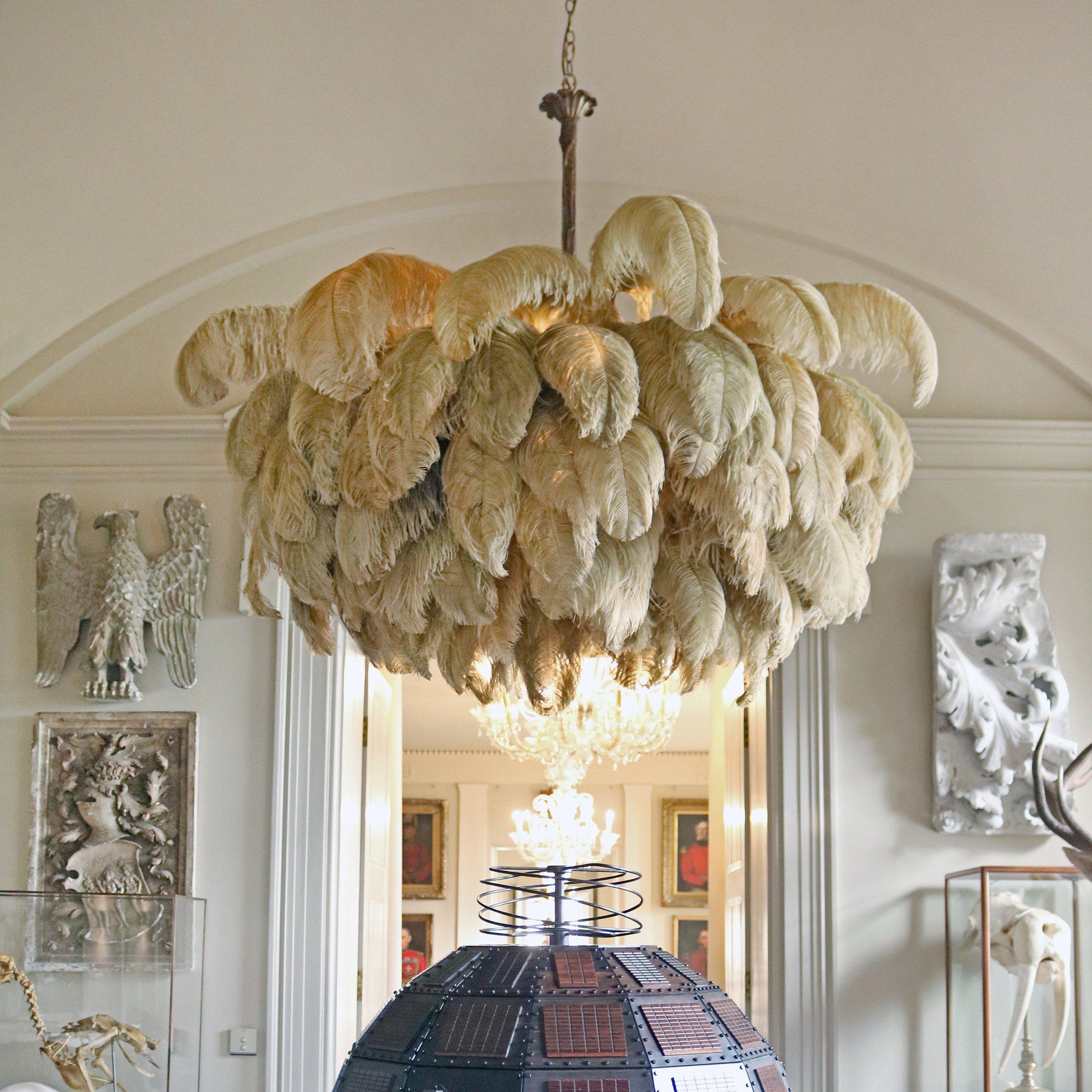 Feather Design Chandelier | Cloud-Shape Hanging Light