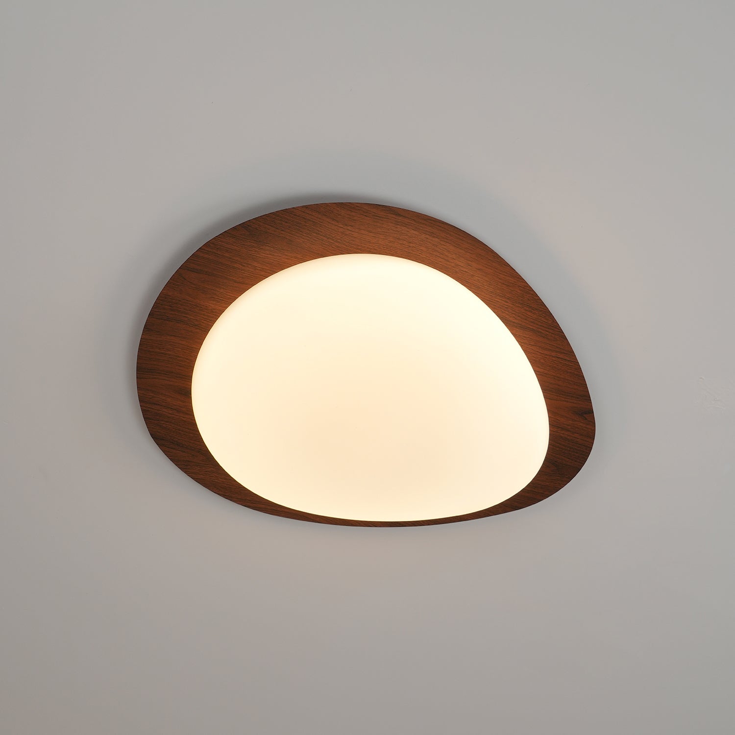 Ceiling Light | Oval Ceiling Fixture