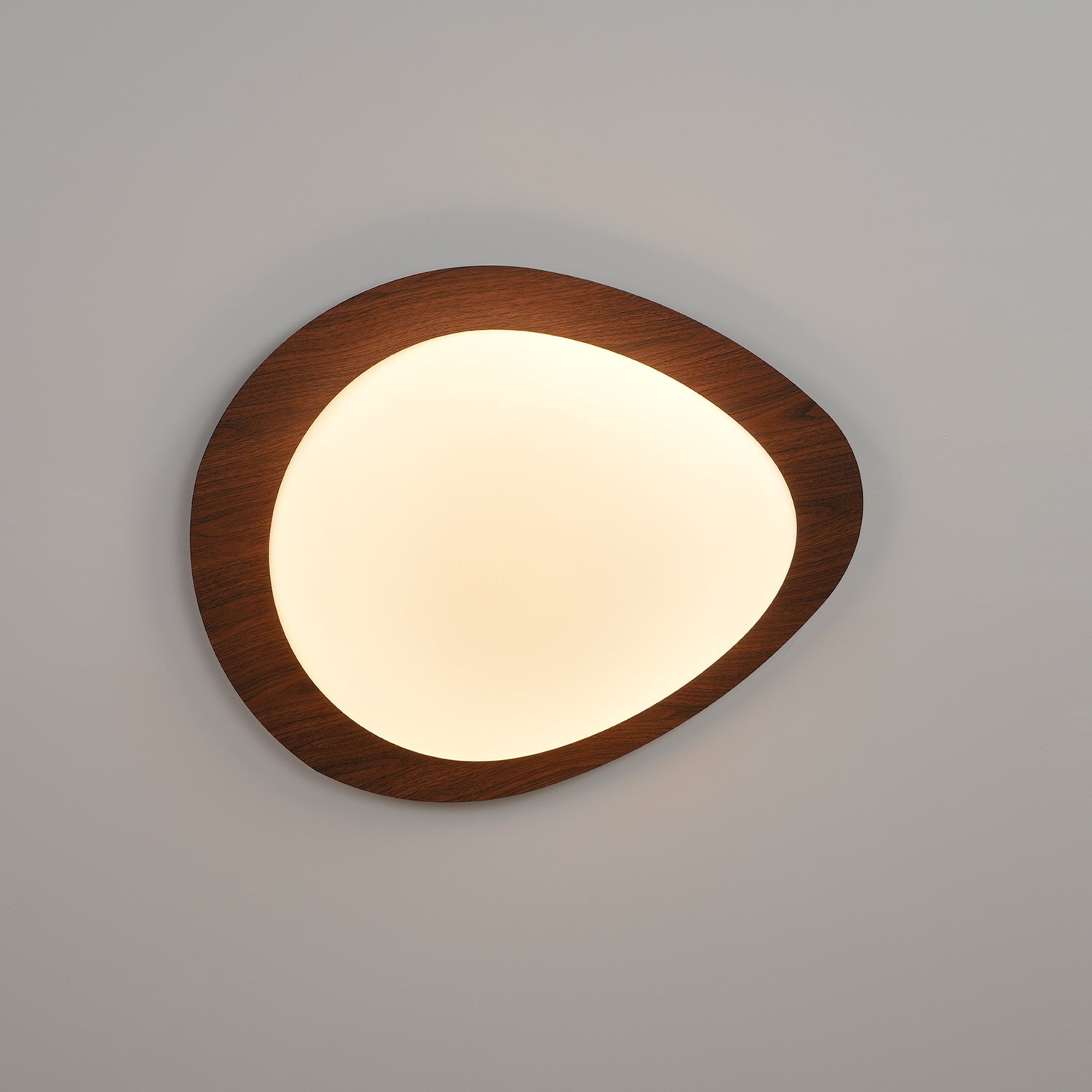 Ceiling Light | Oval Ceiling Fixture