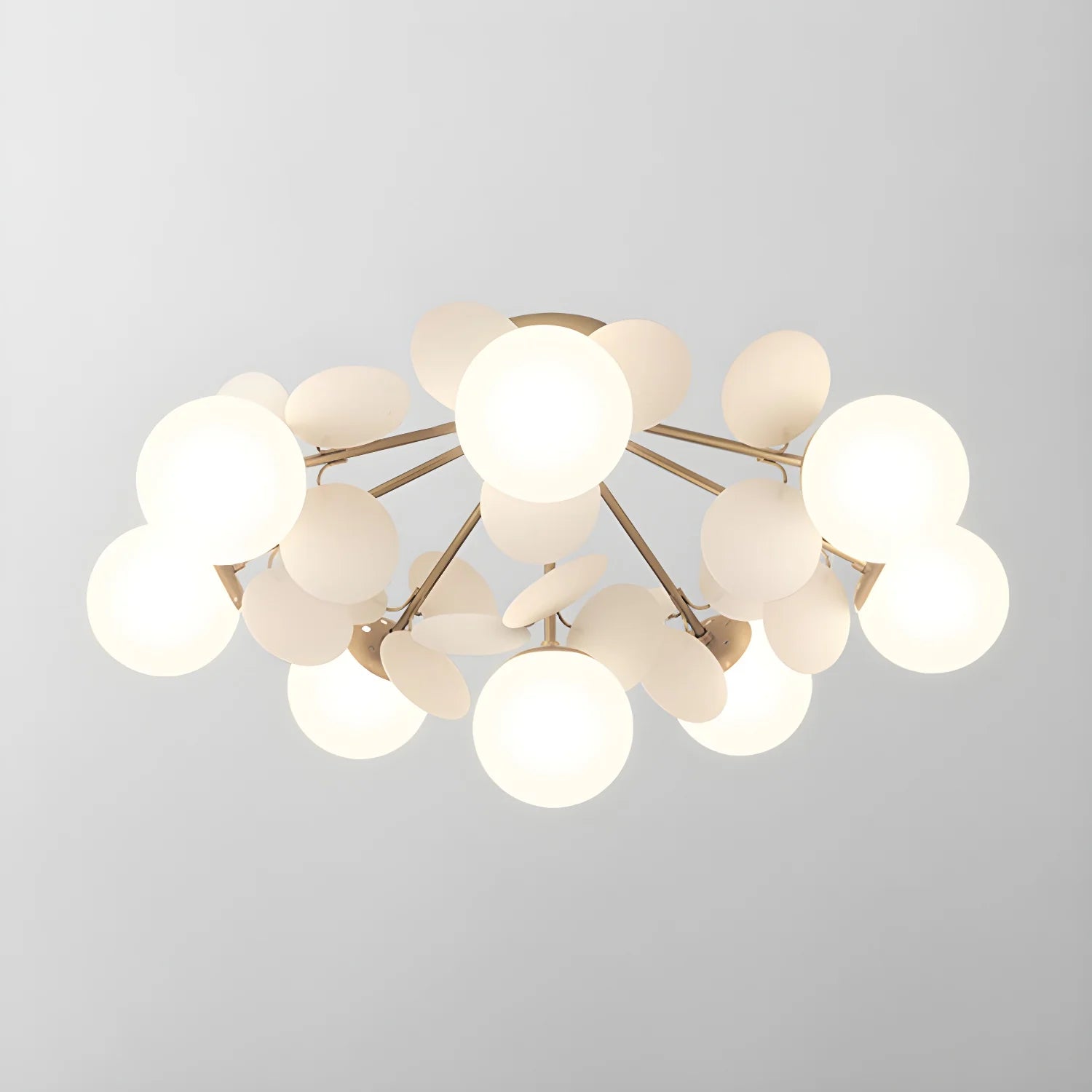 Ceiling Lights | Macaron Multi-Color Round Petal Design