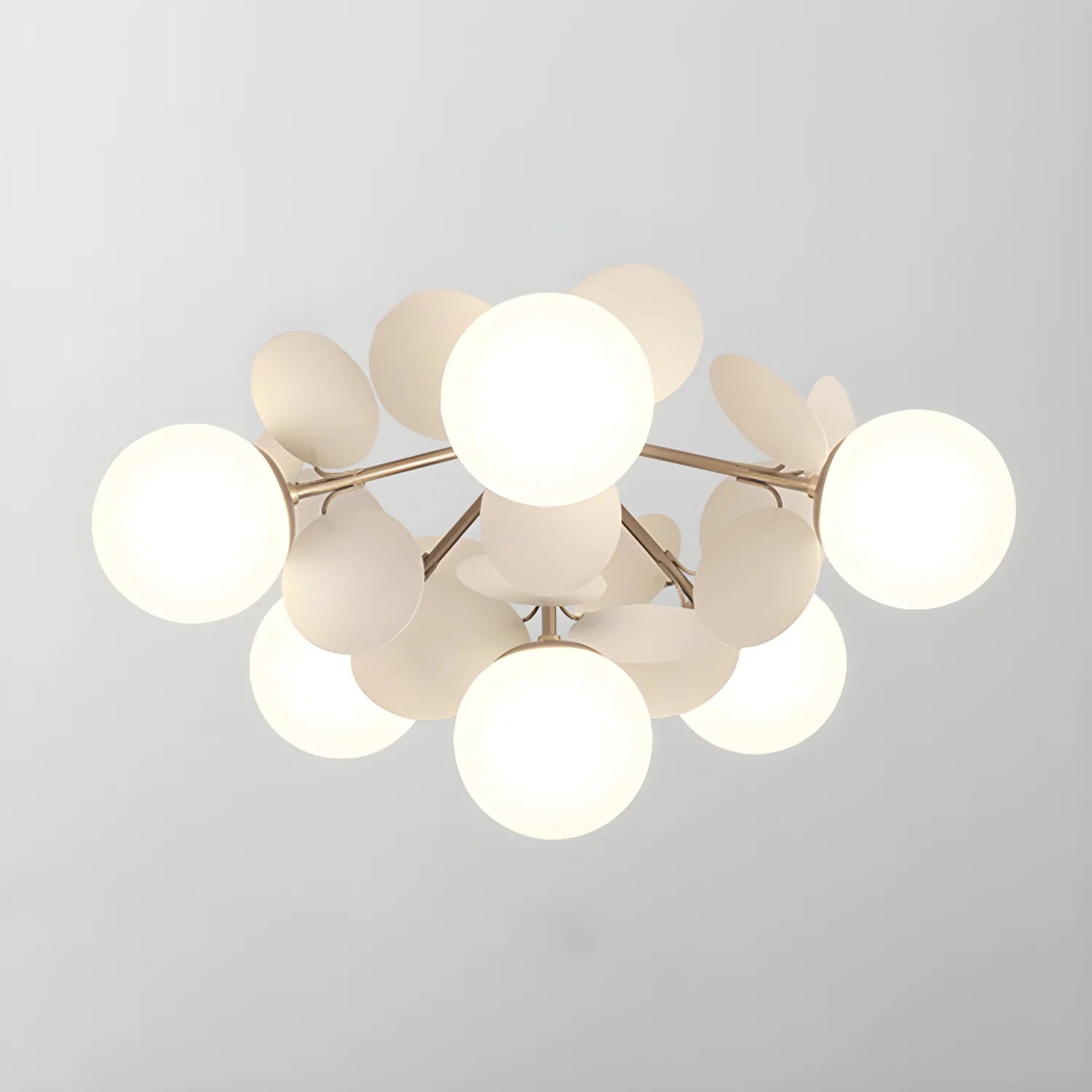 Ceiling Lights | Macaron Multi-Color Round Petal Design